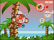 Cocoon Island Game