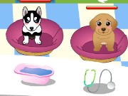 Doggy Shelter Game