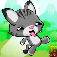 Baby Cat Adventure Game