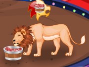 Circus Lions