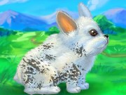 My Rabbit Pet Carrying Game