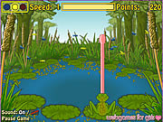 Froggie The Fly Catcher Game