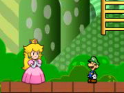 Mario Partner Adventure Game