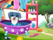 Cute Puppy Care Game