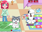 Puppy Center Caring Game