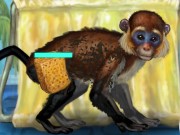 Funny Monkey Game