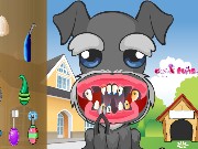 Doggy Dental Care Game